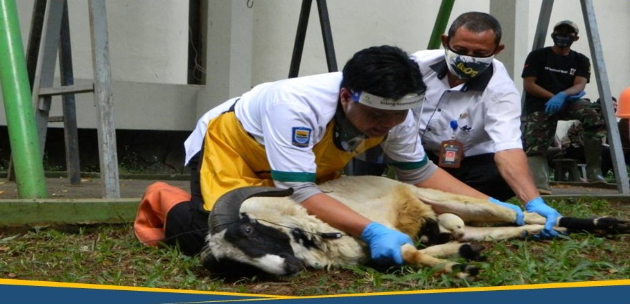 Protokol Kesehatan Perayaan Idul Adha Di Tengah COVID-19